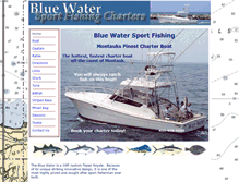 Tablet Screenshot of bluewaterfishing.net